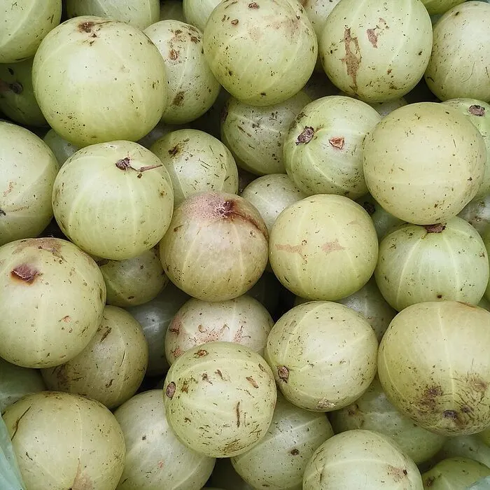 Amla Extract