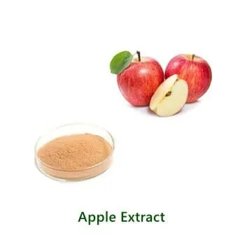Apple Polyphenol Extract