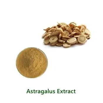 Astragalus Extract