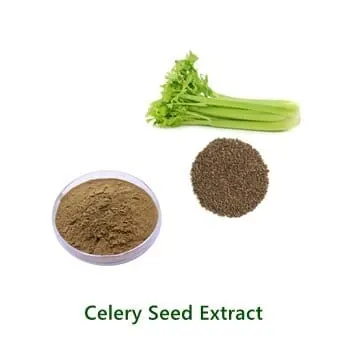 Celery Seed Extract