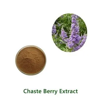 Chaste Berry Extract