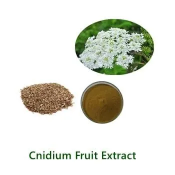 Cnidium Monnieri Extract