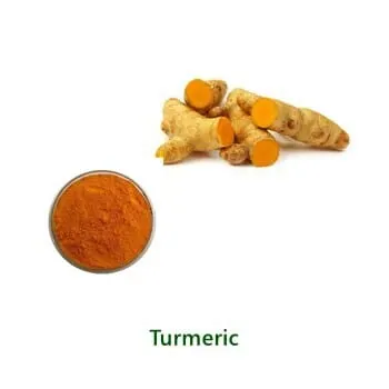 Curcumin 95%