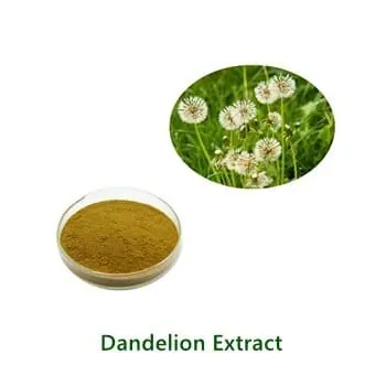 Dandelion Extract