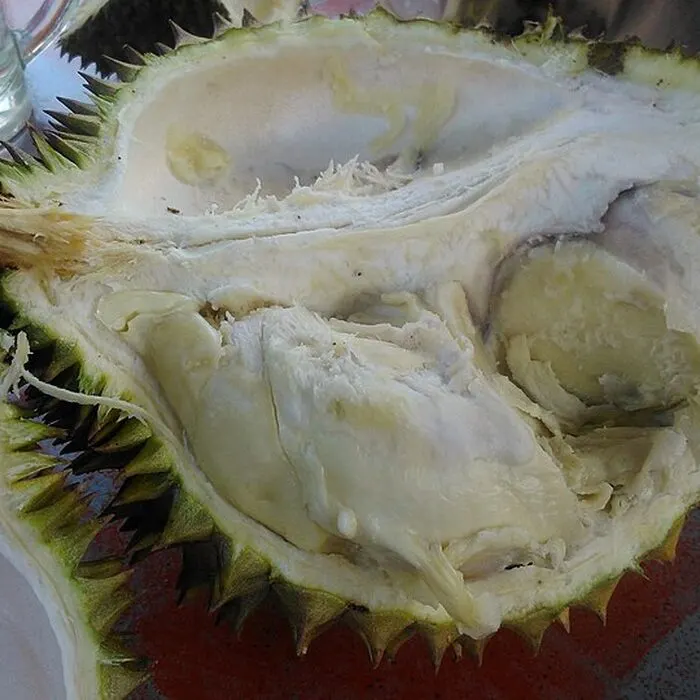 Durian Powder