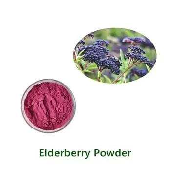 Elderberry Fruit Powder