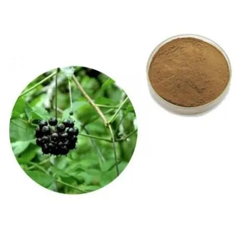 Eleuthero Extract