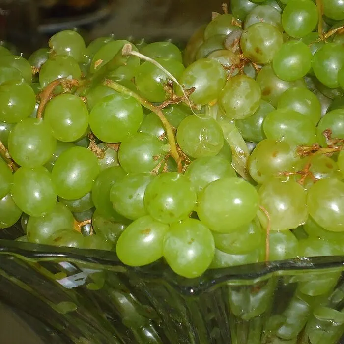 Green Grape Powder