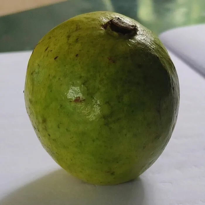 Guava Powder