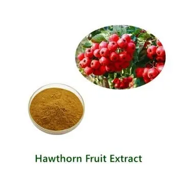 Hawthorn Berry Extract