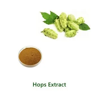 Bulk-Pulverprobe von Hops Extract