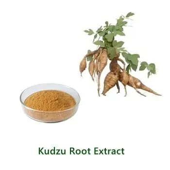 Kudzu Root Extract