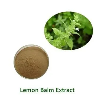 Lemon Balm Extract