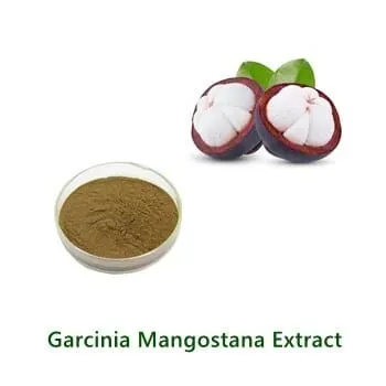 Mangosteen Extract