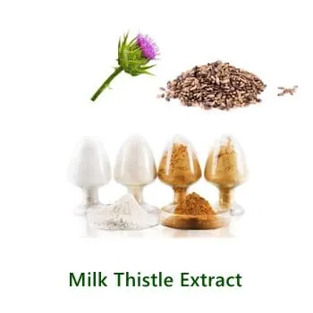 Milk Thistle Extract