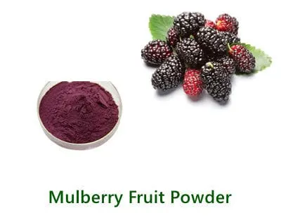 Mulberry Fruit Powder