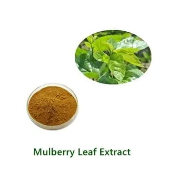 Mulberry Leaf Extract