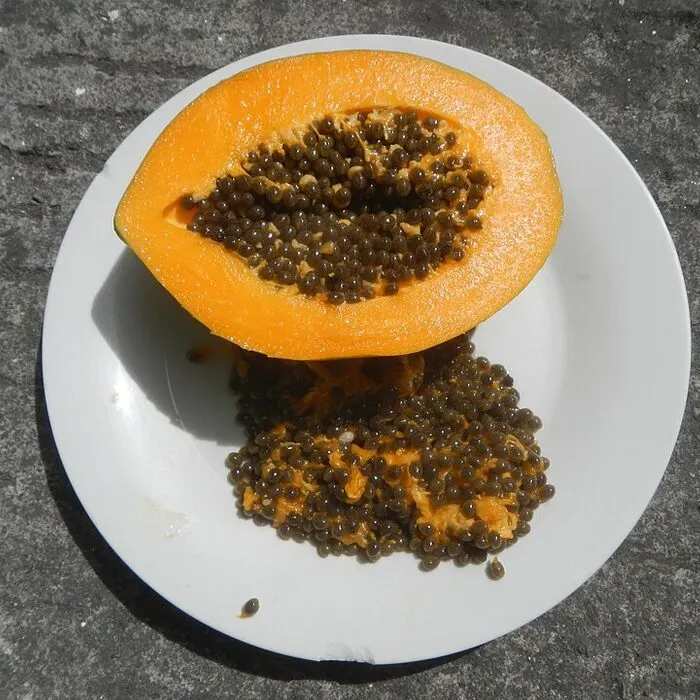 Papaya Powder