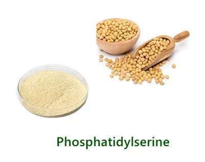 Phosphatidylserine