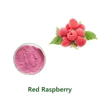 Raspberry Powder