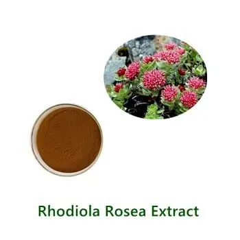 Rhodiola Rosea Extract