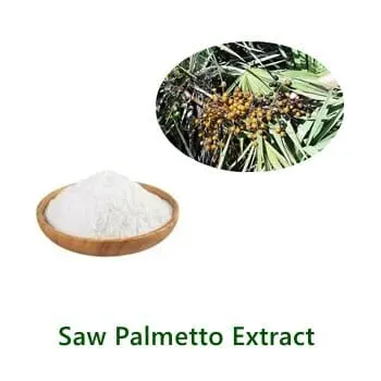 Saw Palmetto Extract