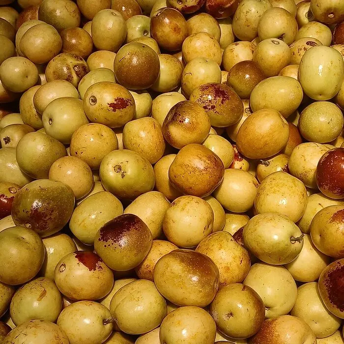 Sour Jujube Seed Extract