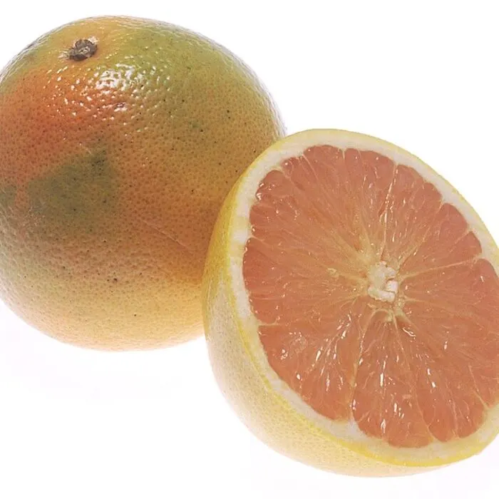 White Grapefruit Powder