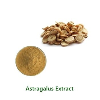 Astragalus Extract