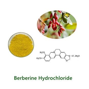 Berberine Hydrochloride