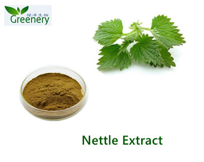 Black Ginger Extract Powder