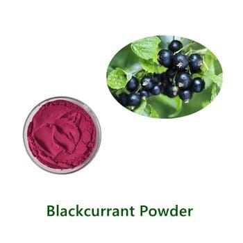 Black Currant Powder