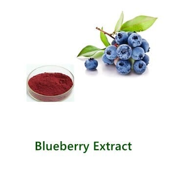 Blueberry Extract