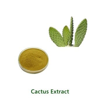 Cactus (Nopal) Extract