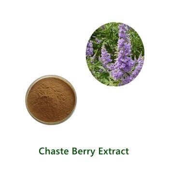 Bulk Chaste Berry Extract powder sample