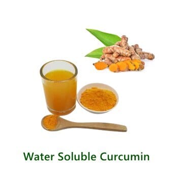 Curcumin Extract