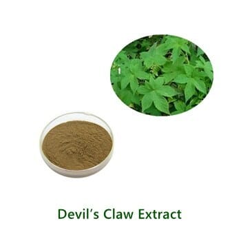 Bulk Devil's Claw Extract powder sample