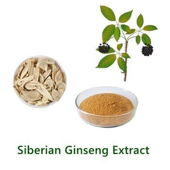 Bulk Eleuthero Extract powder sample