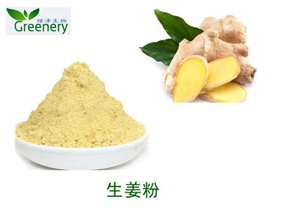Fresh Ginger Extract