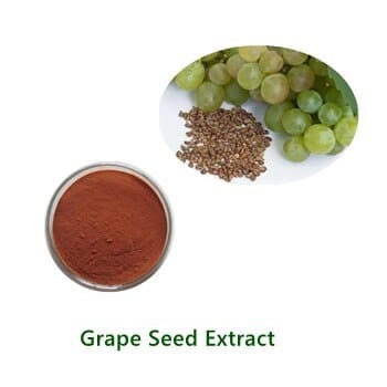 Grape Seed Extract