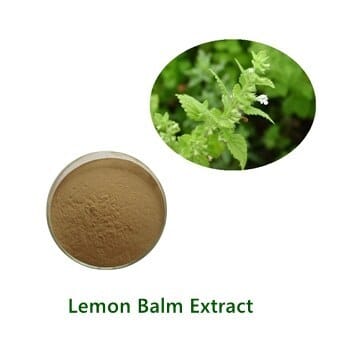 Lemon Balm Extract