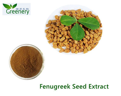 Magnolia Bark Extract Powder 98% Magnolol