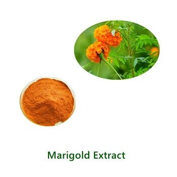 Marigold Extract