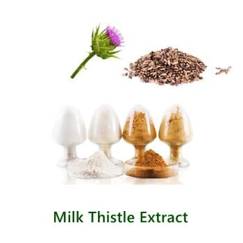 Milk Thistle Extract