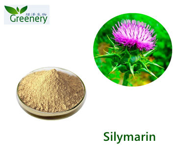 Polygonum Cuspidatum Extract Resveratrol