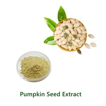 Bulk Pumpkin Seed Extract powder sample