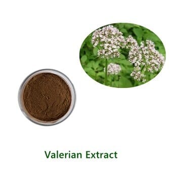 Valerian Root Extract