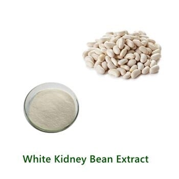 White Kidney Bean Extract